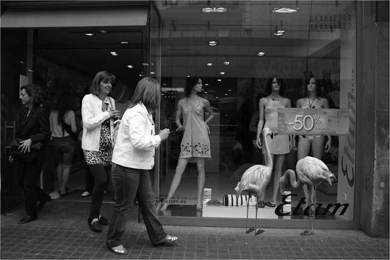 Zoo Animals Invade The Streets To Show What Tolerant Society Would Look Like