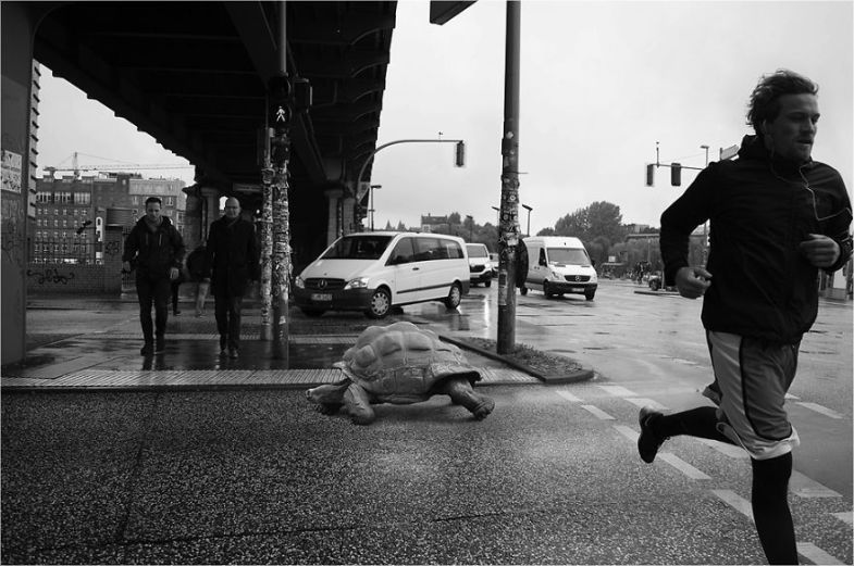 Zoo Animals Invade The Streets To Show What Tolerant Society Would Look Like