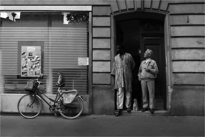 Zoo Animals Invade The Streets To Show What Tolerant Society Would Look Like