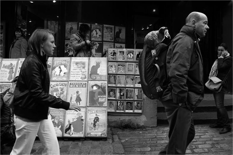 Zoo Animals Invade The Streets To Show What Tolerant Society Would Look Like