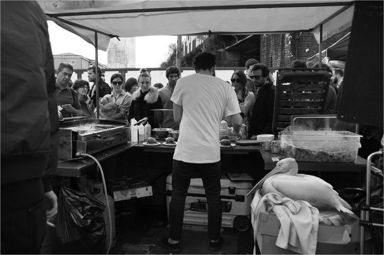 Zoo Animals Invade The Streets To Show What Tolerant Society Would Look Like