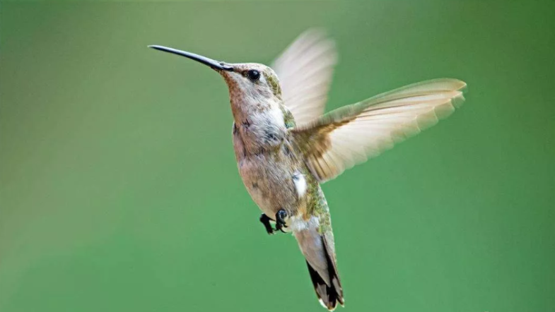 1721782551510467.png 1721782547764.png